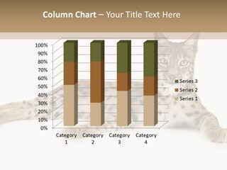 Isolated Wild Spotted PowerPoint Template