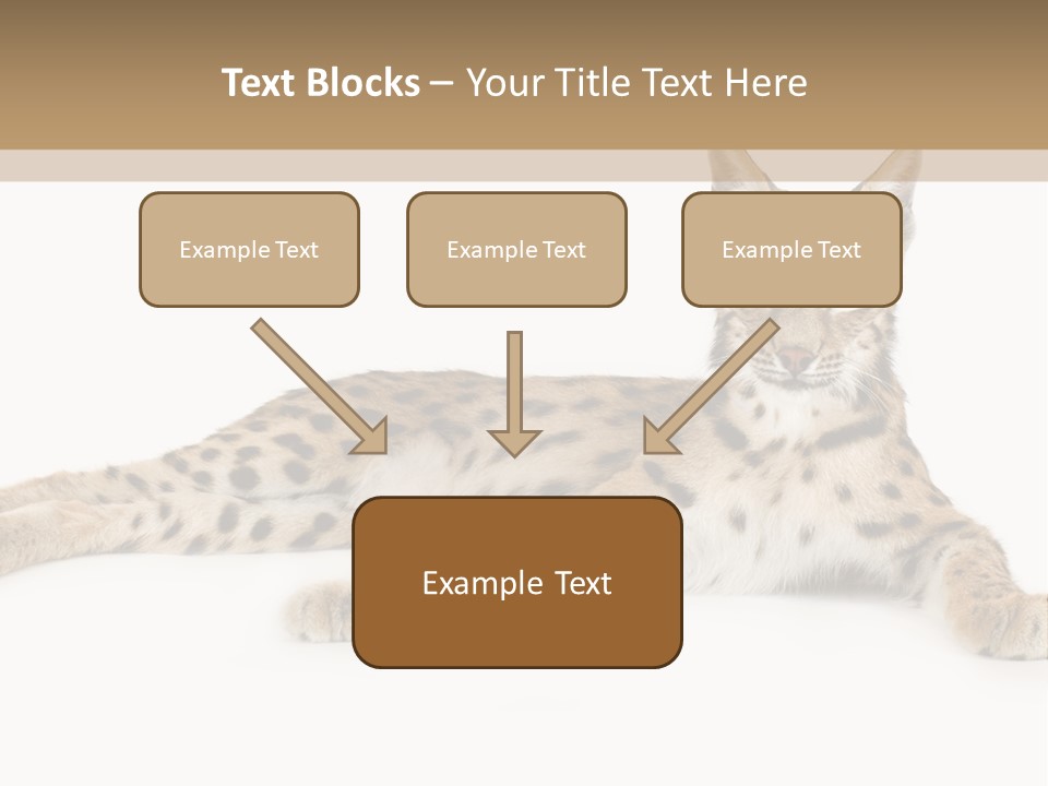Isolated Wild Spotted PowerPoint Template