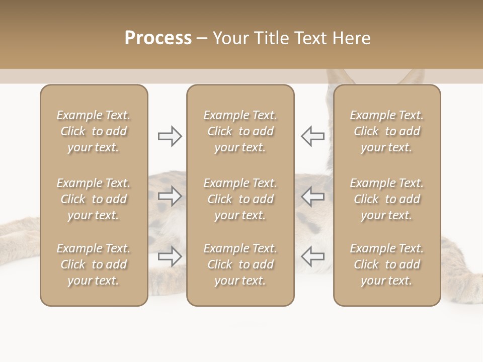 Isolated Wild Spotted PowerPoint Template