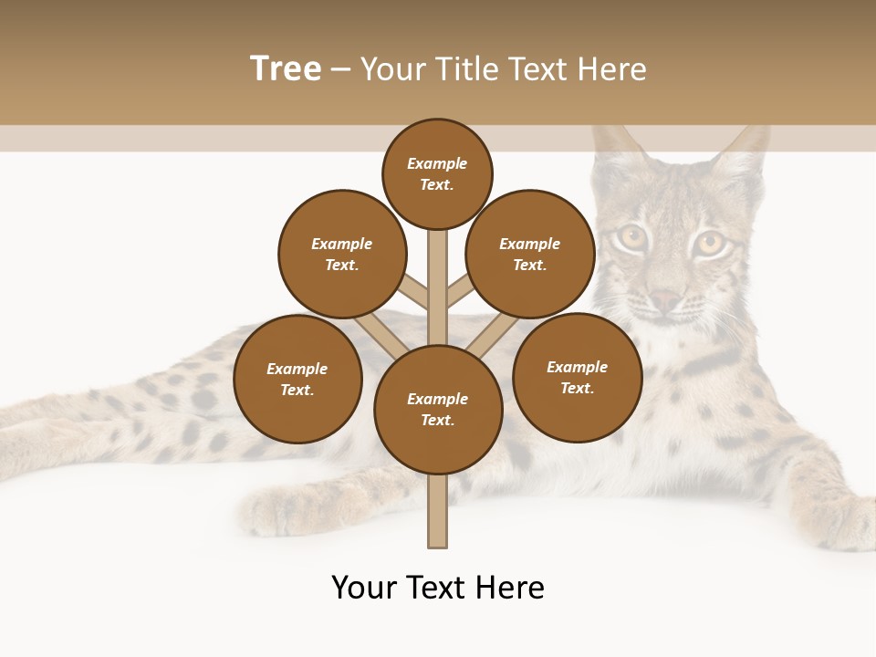 Isolated Wild Spotted PowerPoint Template