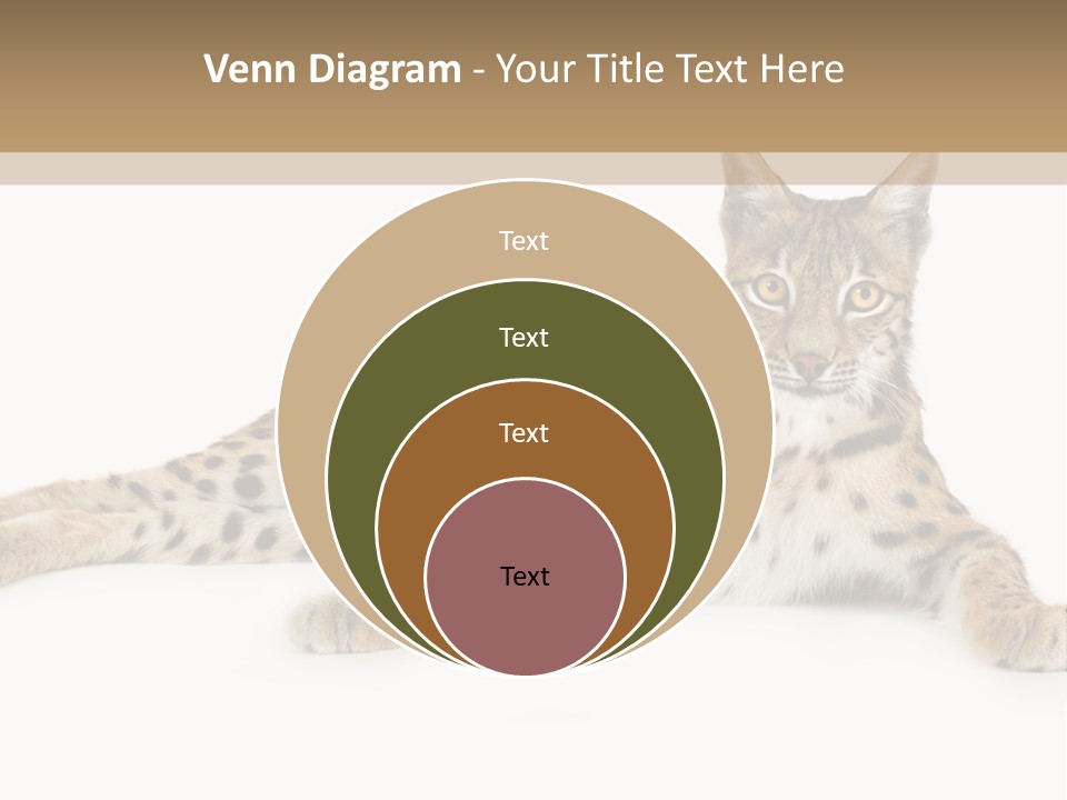 Isolated Wild Spotted PowerPoint Template