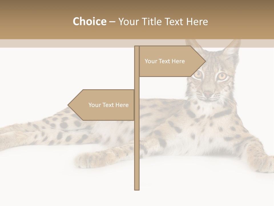 Isolated Wild Spotted PowerPoint Template
