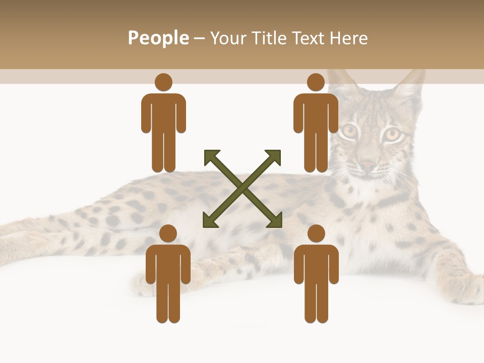 Isolated Wild Spotted PowerPoint Template