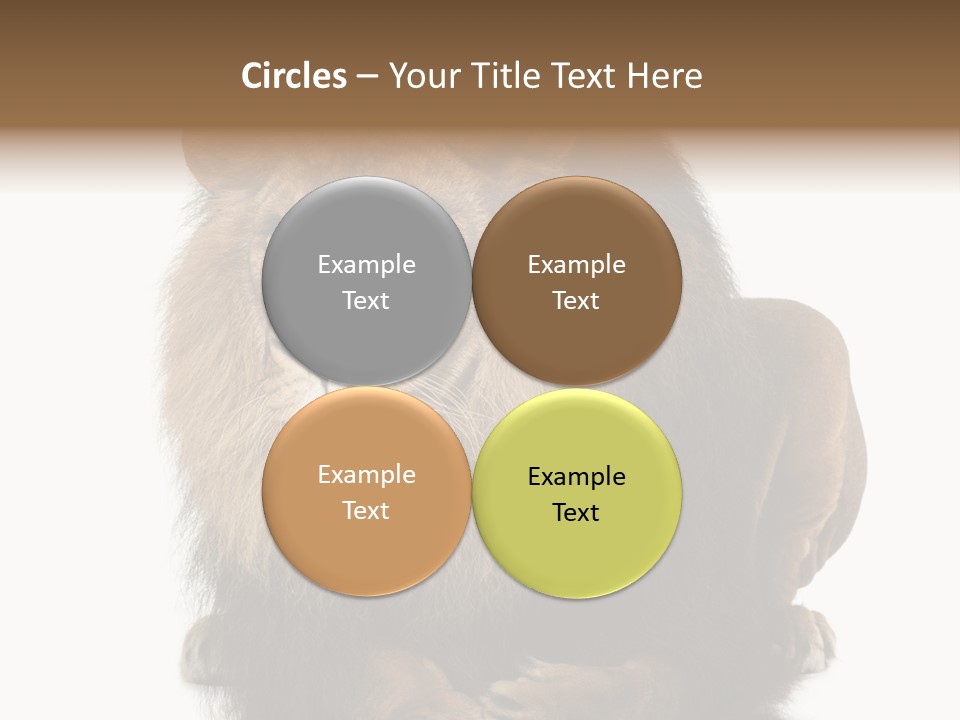 Laying Creature Lying Down PowerPoint Template