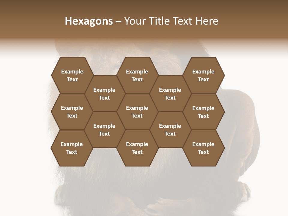 Laying Creature Lying Down PowerPoint Template