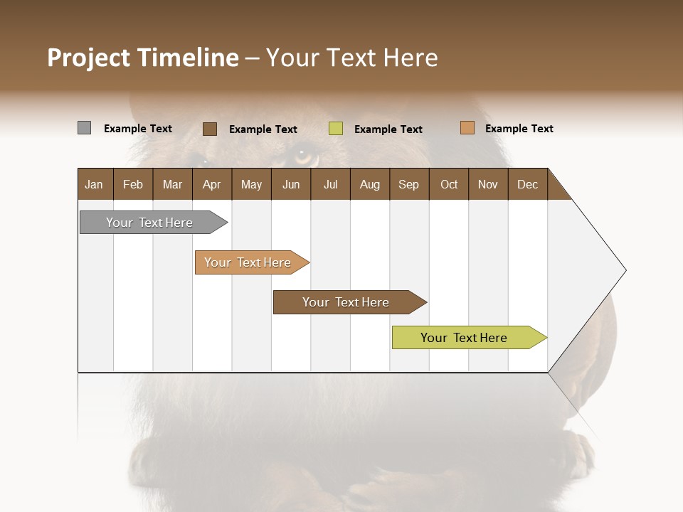Laying Creature Lying Down PowerPoint Template