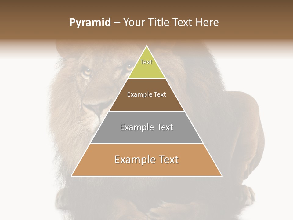 Laying Creature Lying Down PowerPoint Template