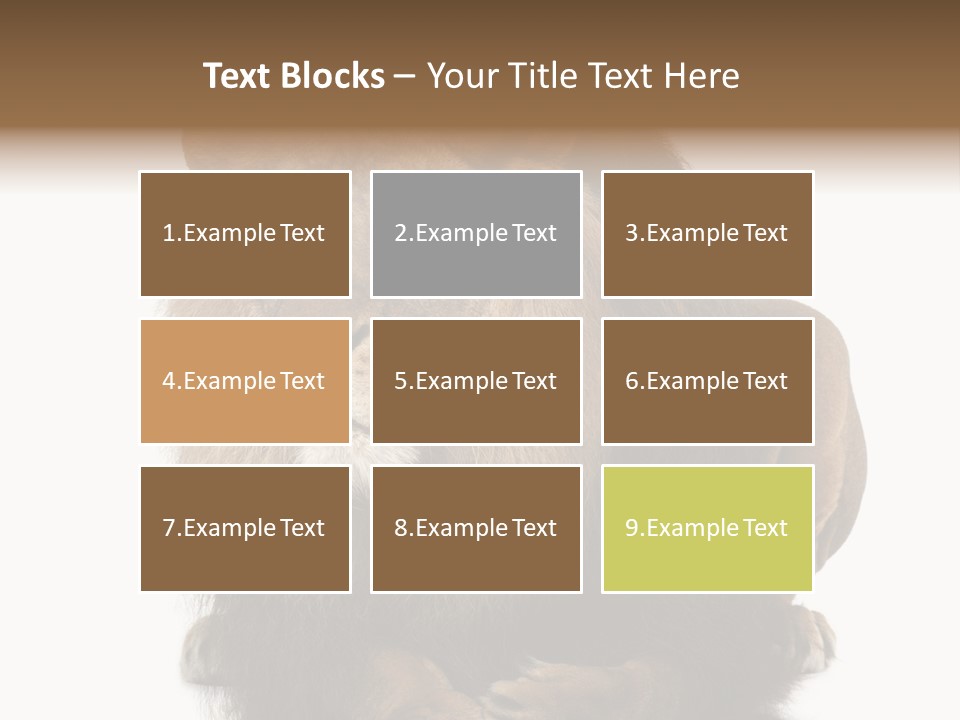 Laying Creature Lying Down PowerPoint Template