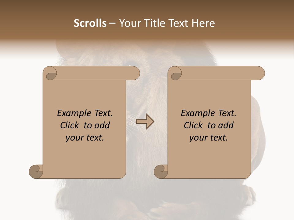 Laying Creature Lying Down PowerPoint Template