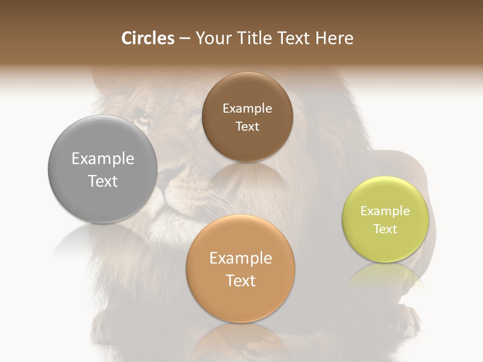 Laying Creature Lying Down PowerPoint Template