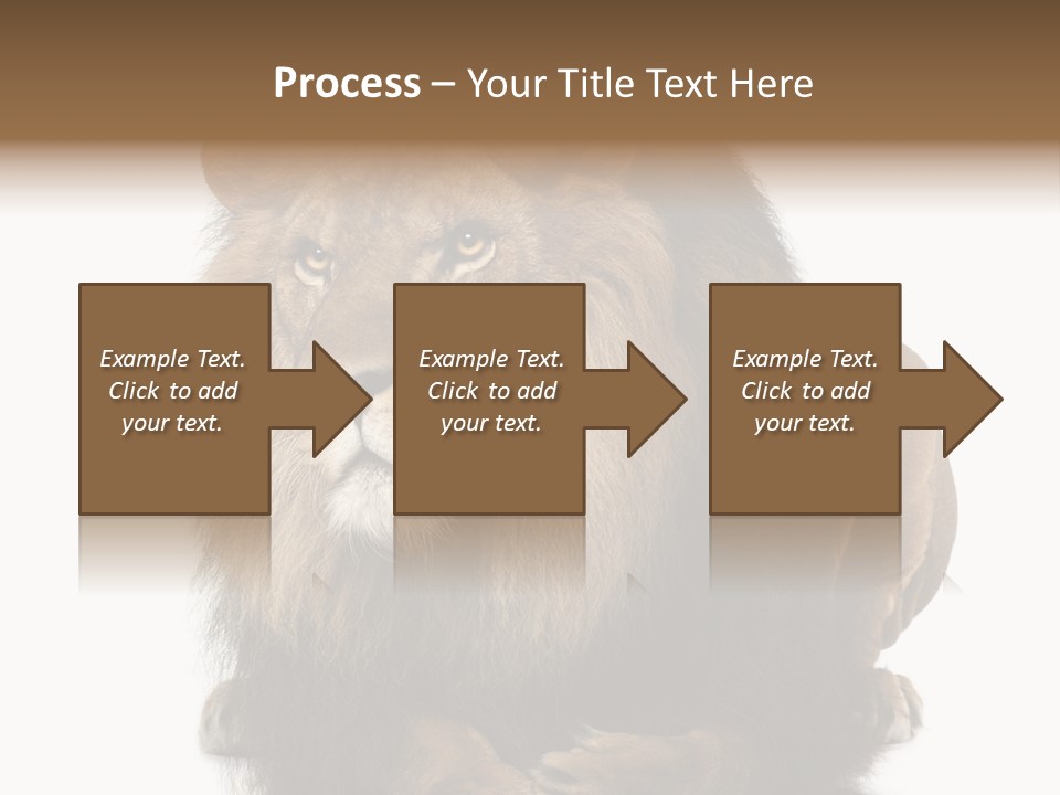 Laying Creature Lying Down PowerPoint Template