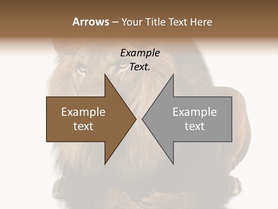 Laying Creature Lying Down PowerPoint Template