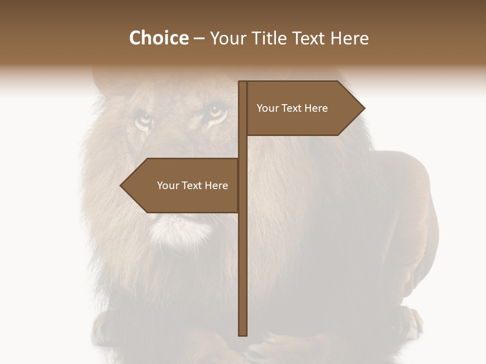 Laying Creature Lying Down PowerPoint Template