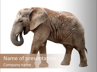 Strength Strong African PowerPoint Template