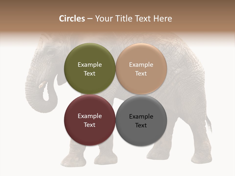 Strength Strong African PowerPoint Template