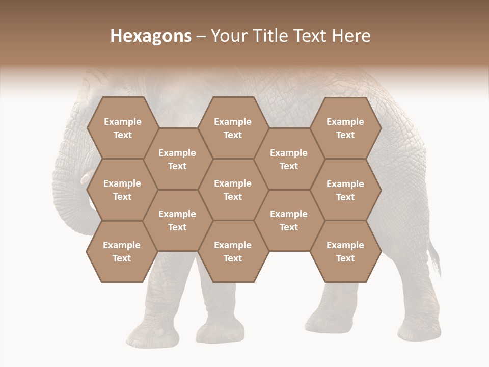 Strength Strong African PowerPoint Template