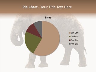 Strength Strong African PowerPoint Template