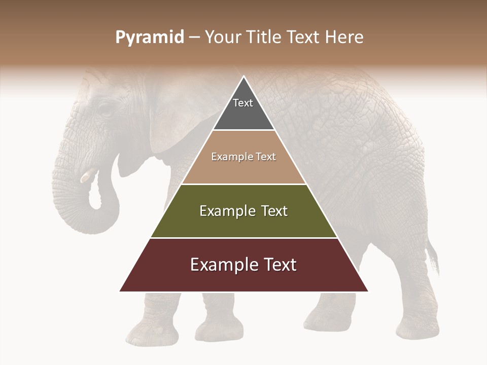 Strength Strong African PowerPoint Template
