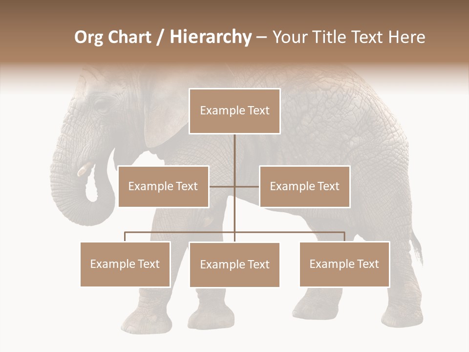 Strength Strong African PowerPoint Template