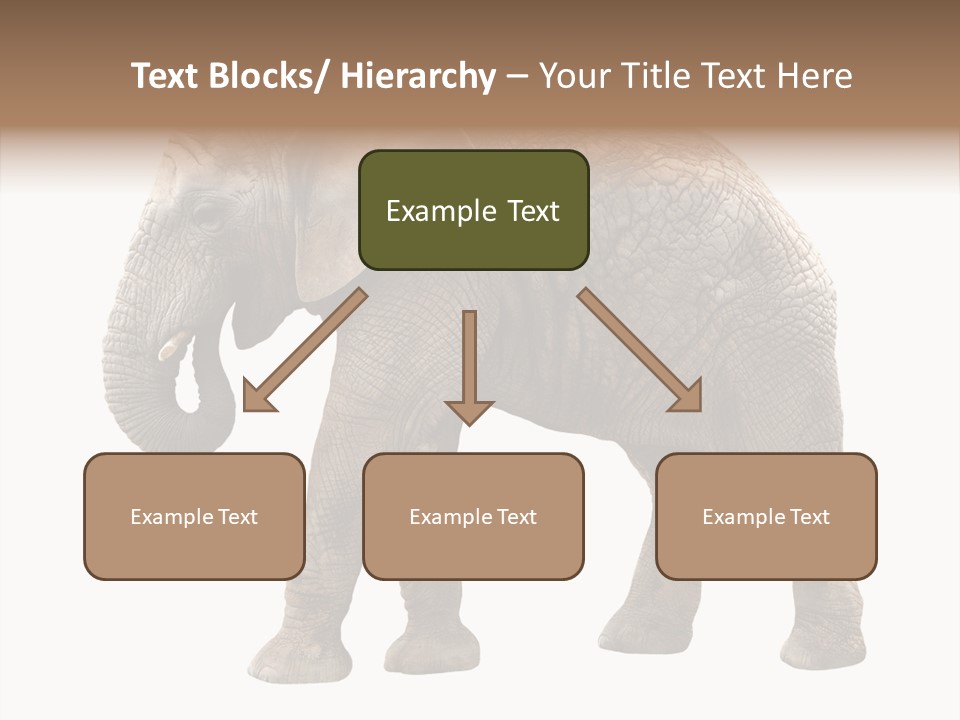 Strength Strong African PowerPoint Template