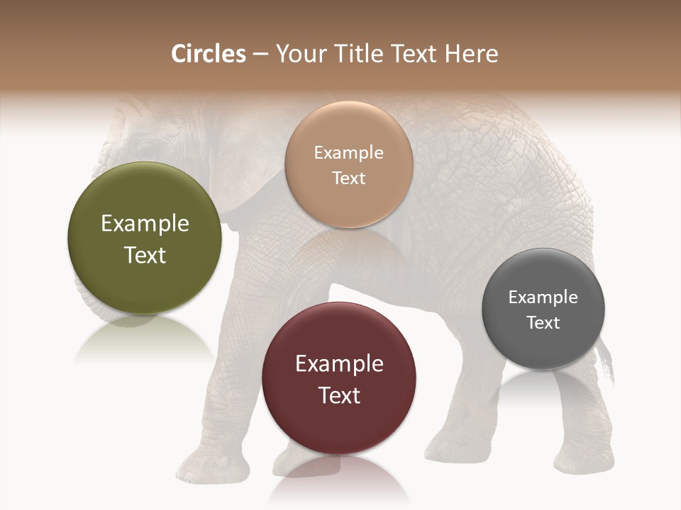 Strength Strong African PowerPoint Template