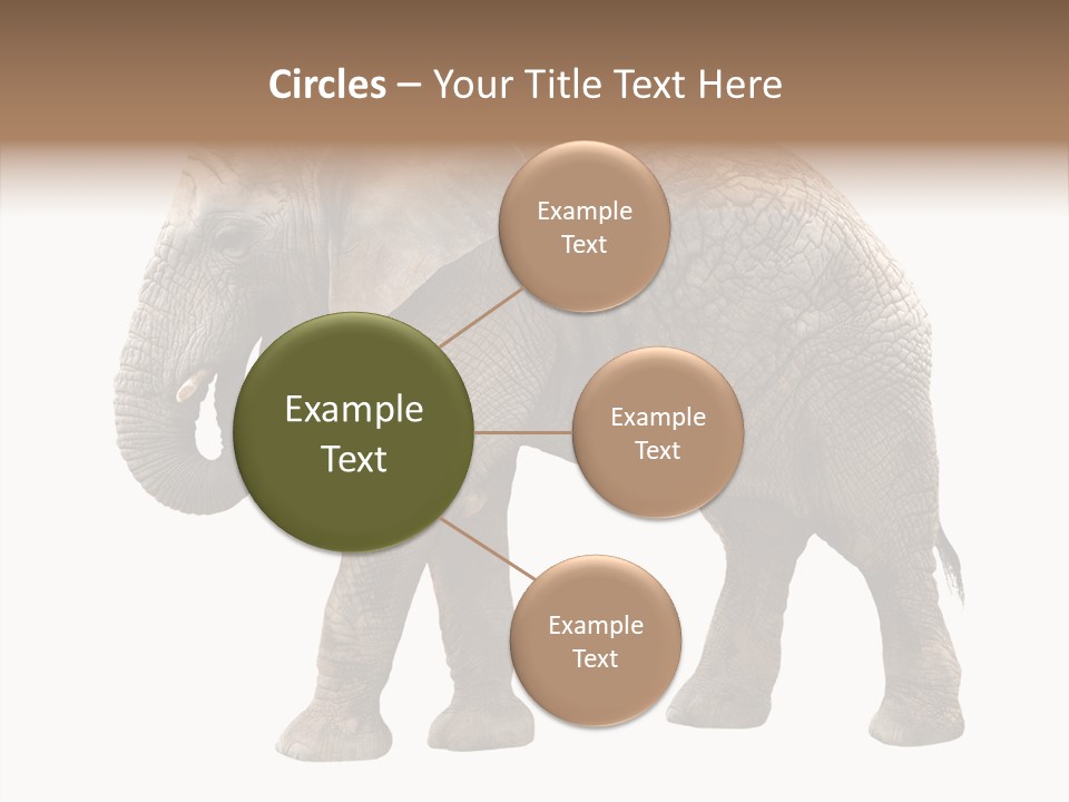 Strength Strong African PowerPoint Template
