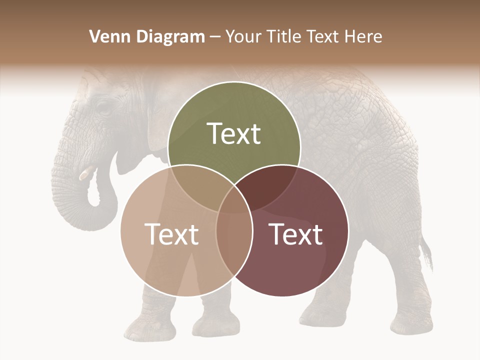 Strength Strong African PowerPoint Template