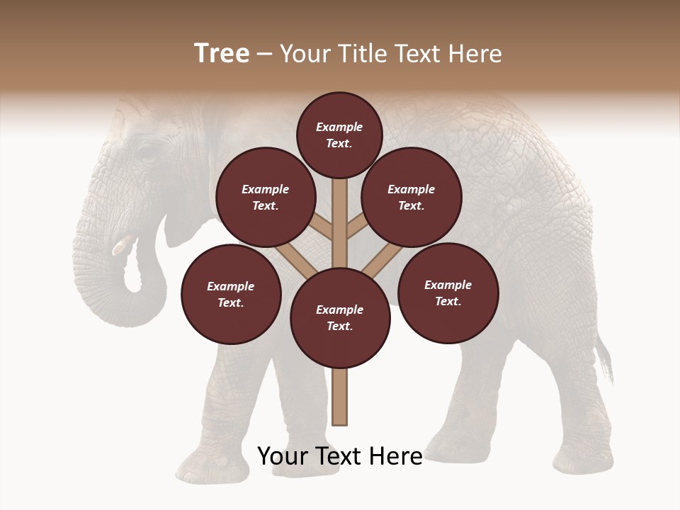 Strength Strong African PowerPoint Template