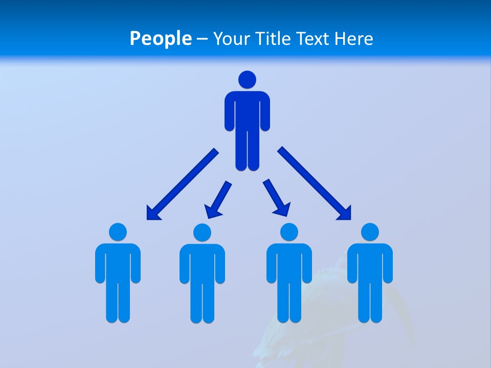 Fond Plongeurs Fonds Marin PowerPoint Template