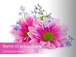 Aroma Isolated Decoration PowerPoint Template