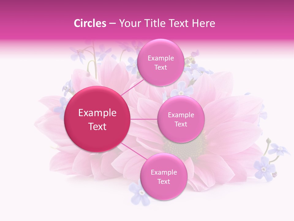 Aroma Isolated Decoration PowerPoint Template