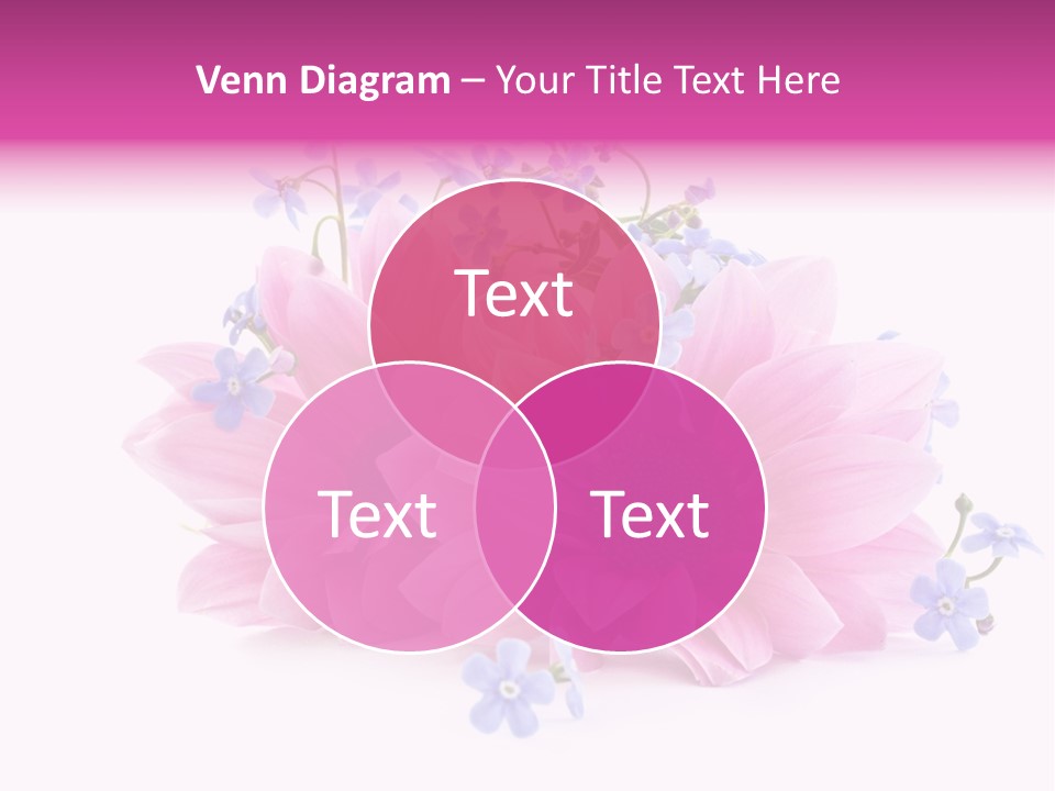 Aroma Isolated Decoration PowerPoint Template