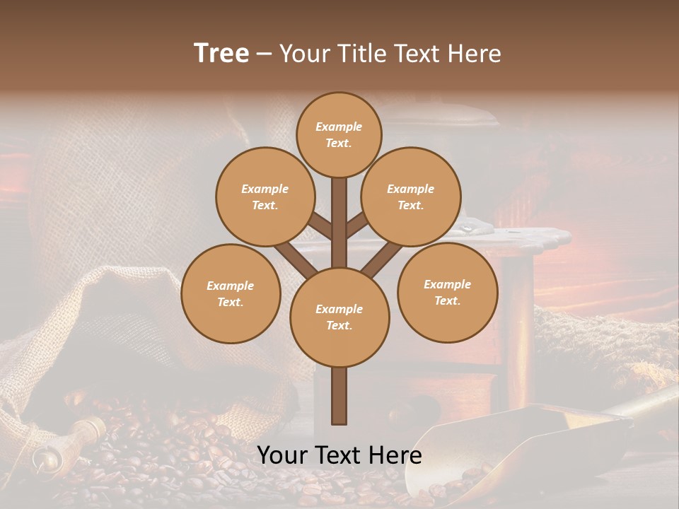 Bohne Bohnen Hohe Aufl PowerPoint Template