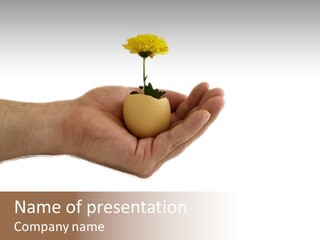 Natur Blume Pflanze PowerPoint Template