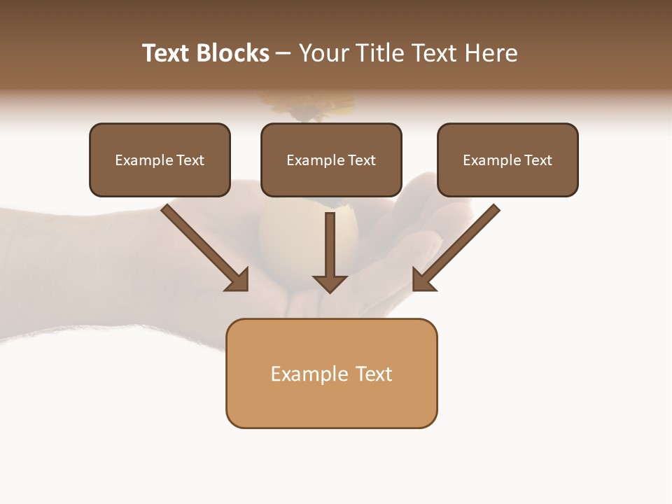 Natur Blume Pflanze PowerPoint Template