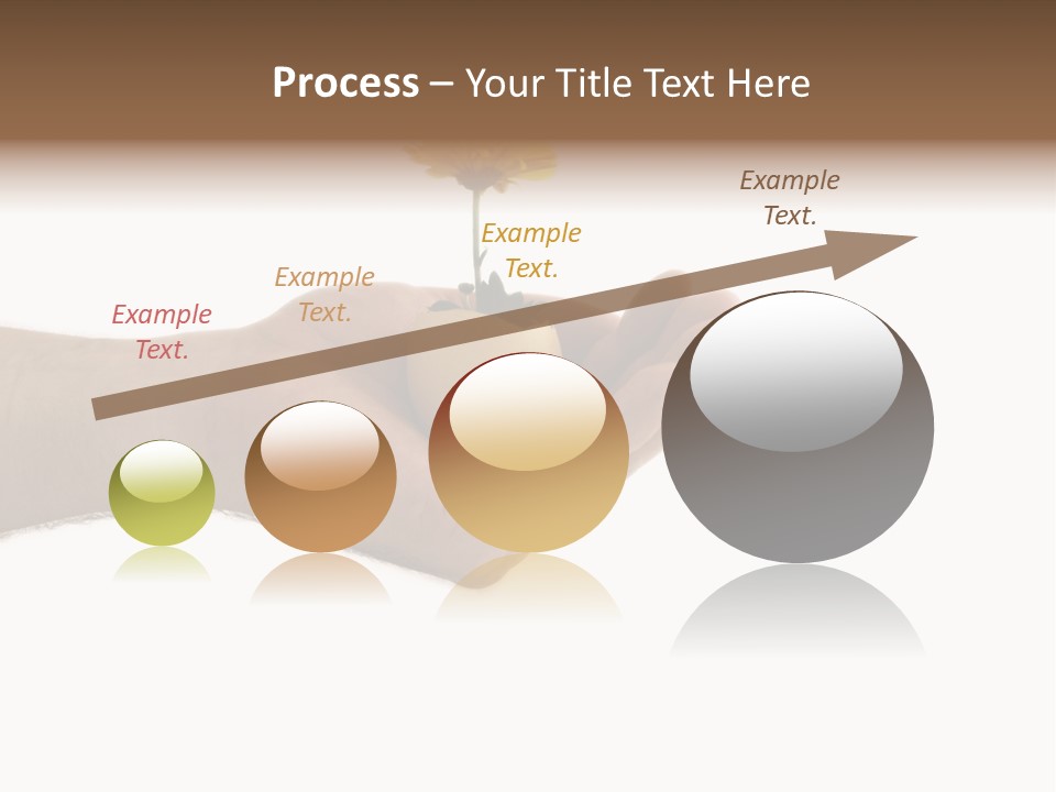 Natur Blume Pflanze PowerPoint Template