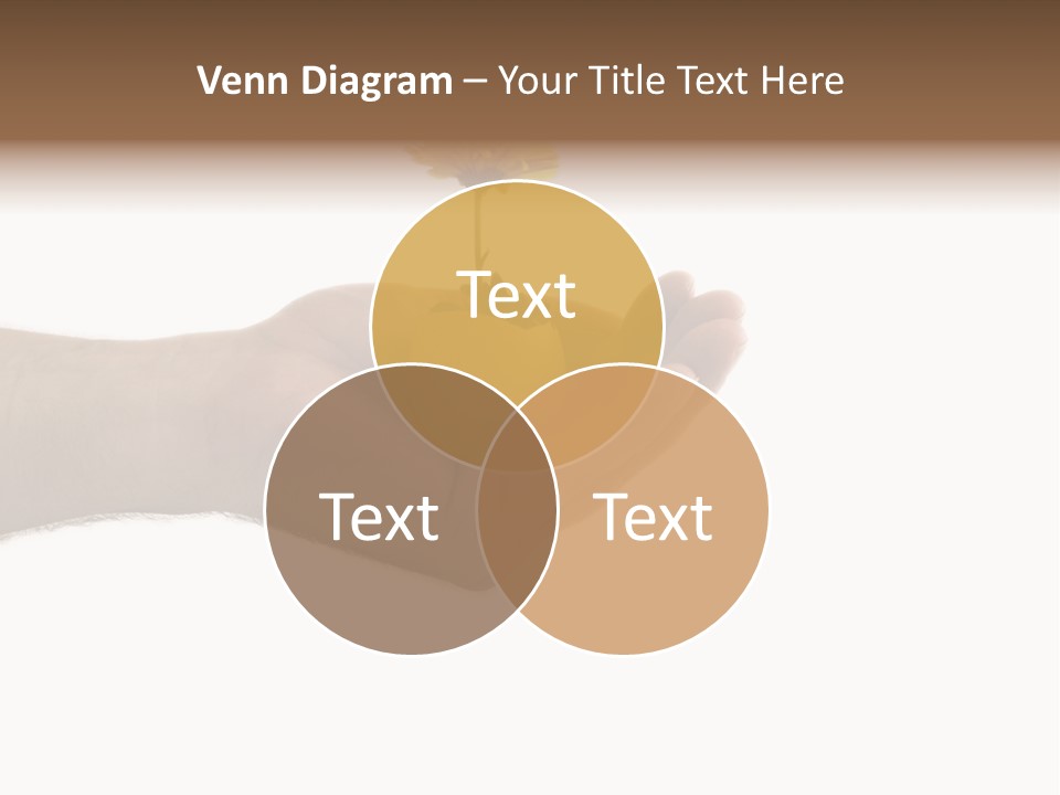 Natur Blume Pflanze PowerPoint Template