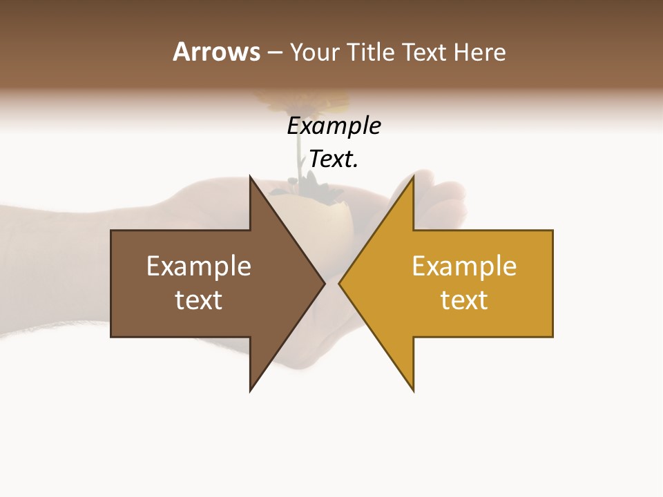 Natur Blume Pflanze PowerPoint Template
