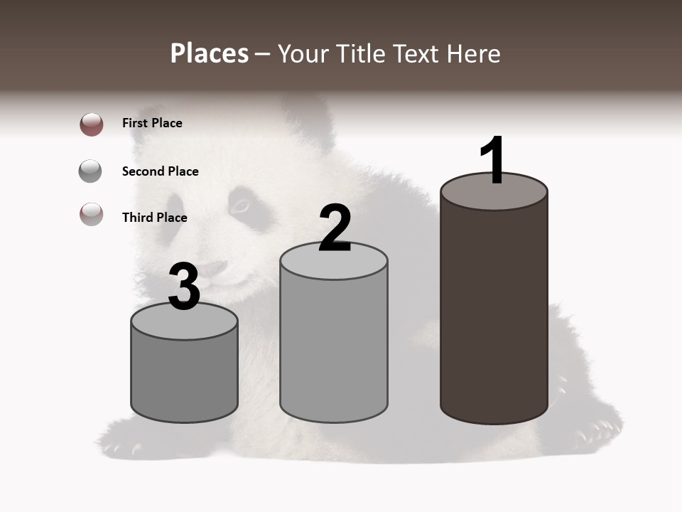 Conservation Wild China PowerPoint Template