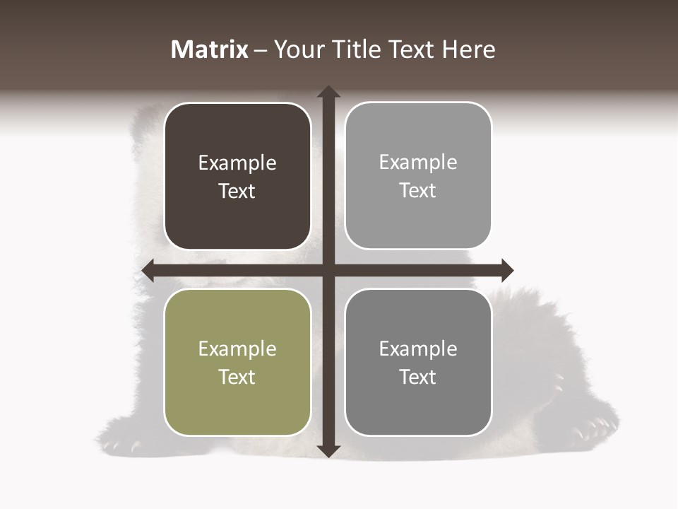 Conservation Wild China PowerPoint Template