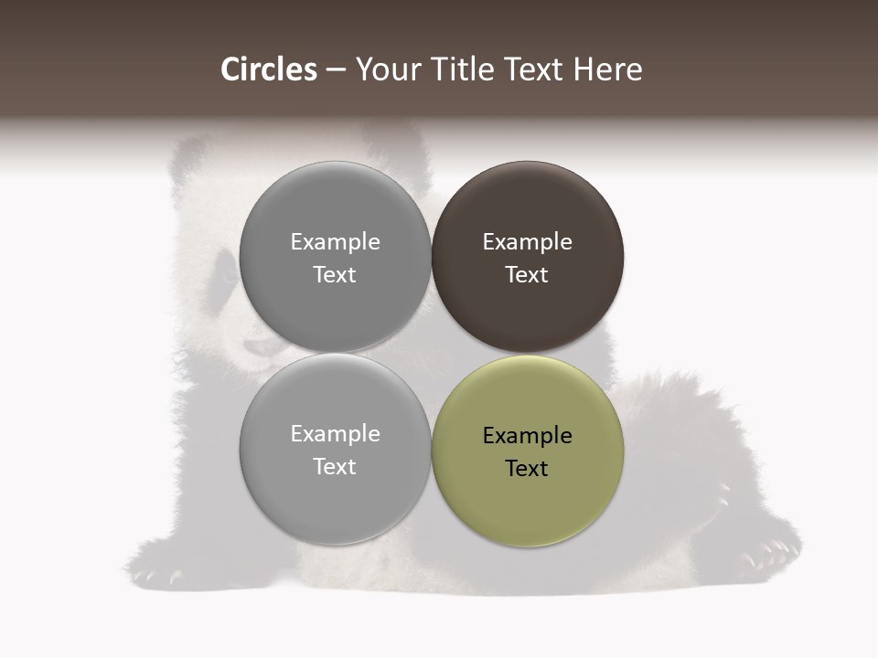 Conservation Wild China PowerPoint Template