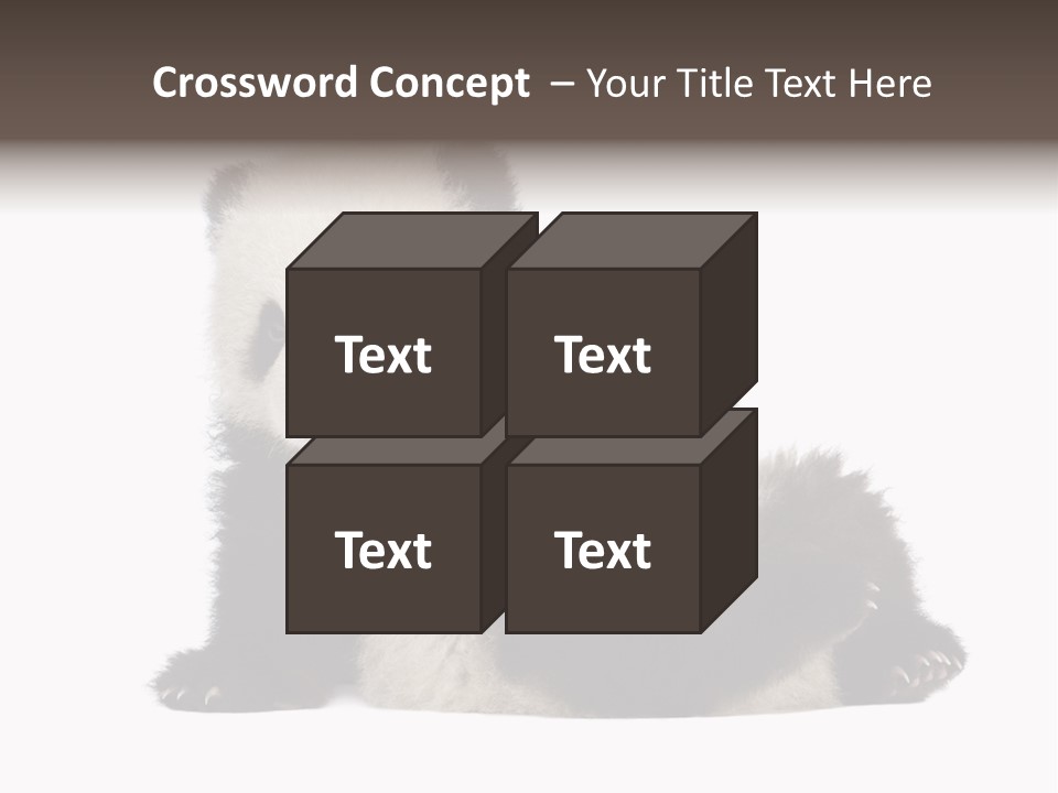 Conservation Wild China PowerPoint Template