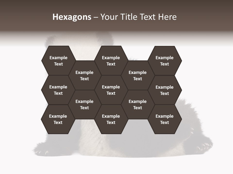 Conservation Wild China PowerPoint Template