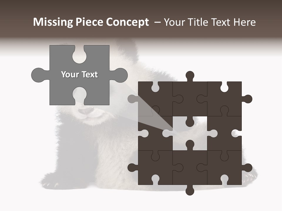 Conservation Wild China PowerPoint Template