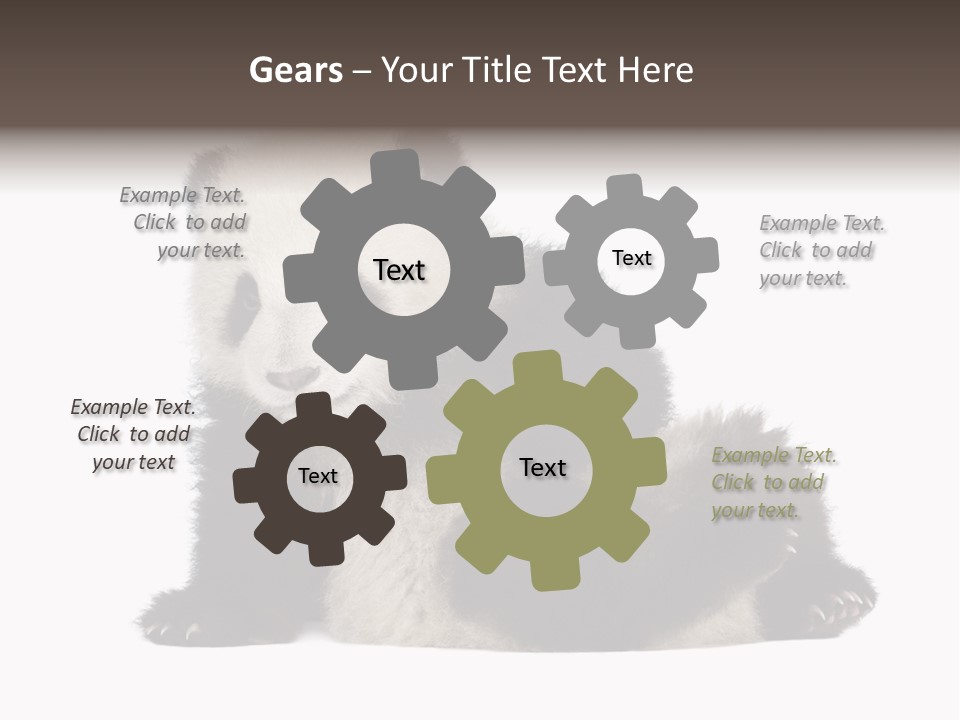 Conservation Wild China PowerPoint Template