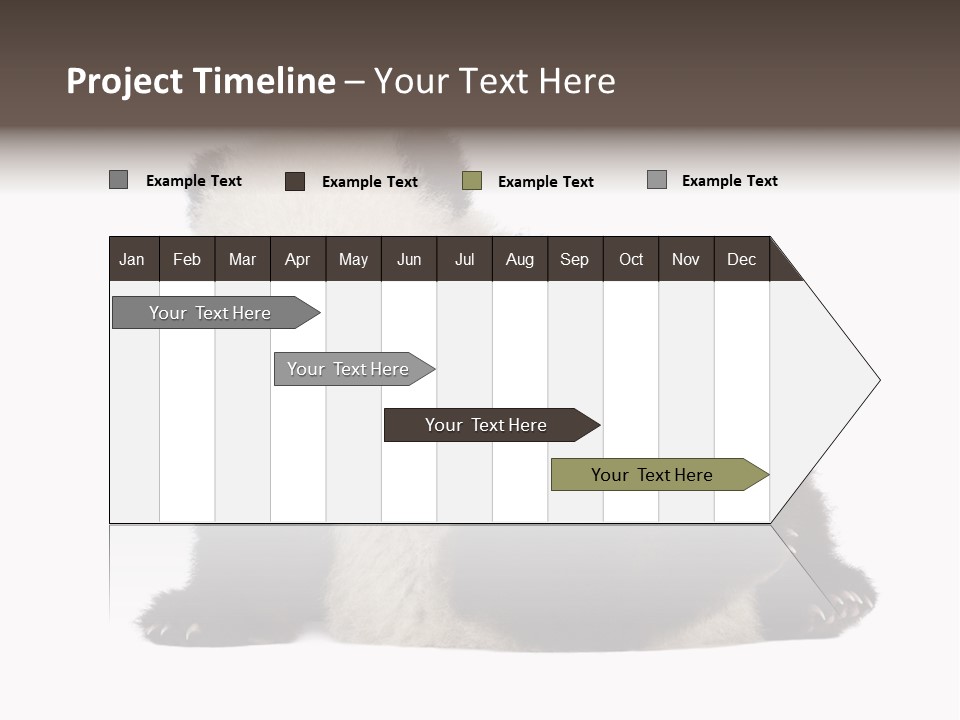 Conservation Wild China PowerPoint Template