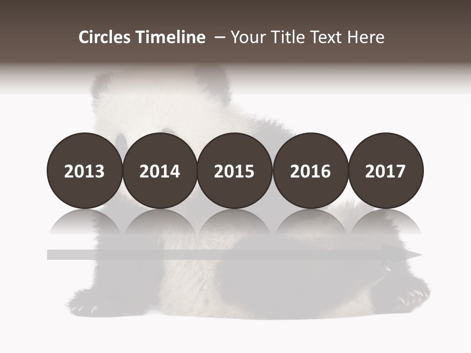 Conservation Wild China PowerPoint Template