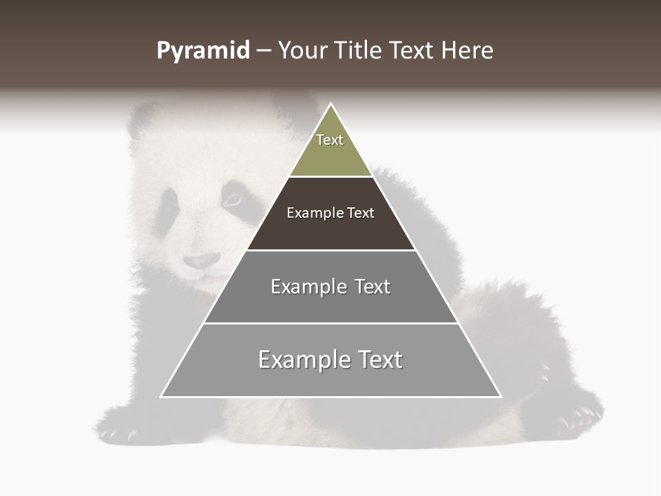 Conservation Wild China PowerPoint Template