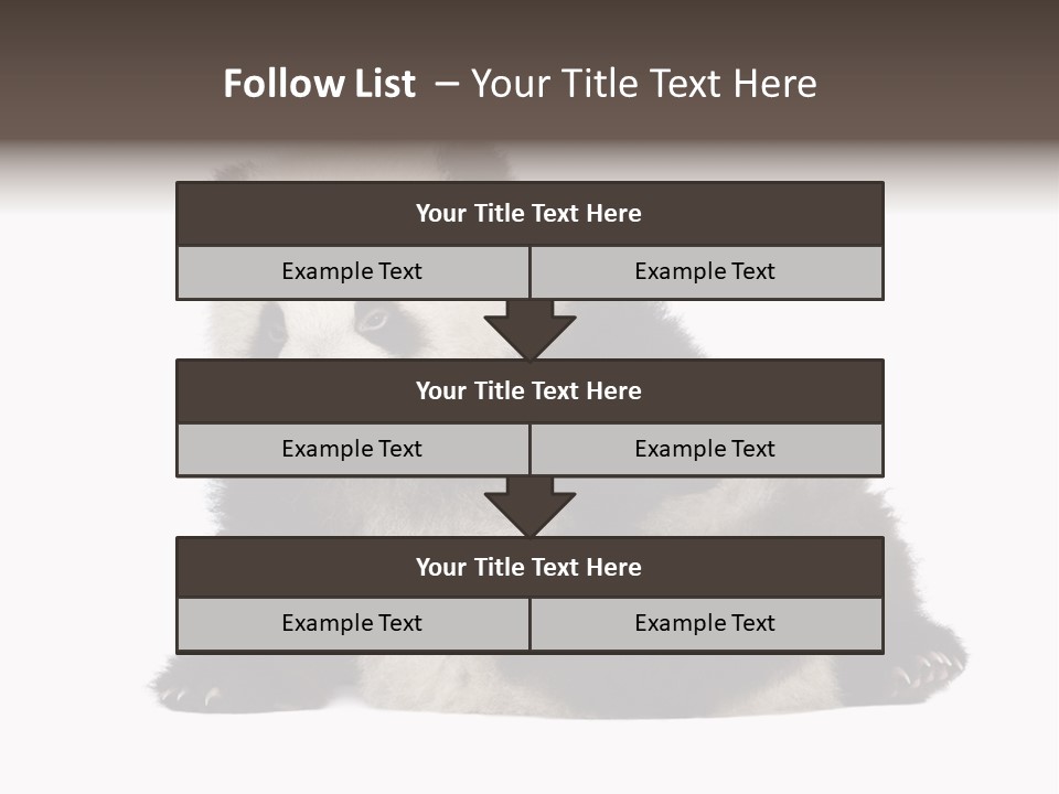 Conservation Wild China PowerPoint Template