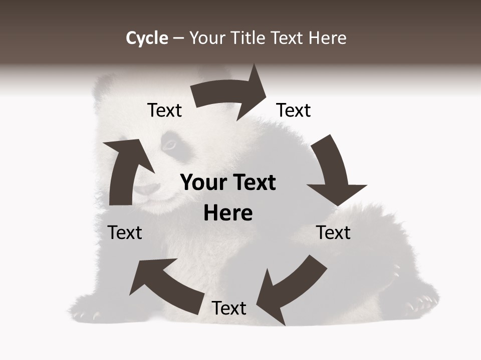 Conservation Wild China PowerPoint Template
